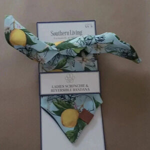 Pet Bandana With Matching  Owner Scrunchie Set NWT